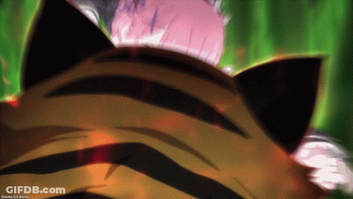 A Close Up Of A Tiger 'S Head With A Girl In The Background GIF