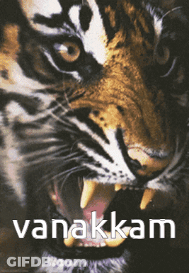 A Close Up Of A Tiger With The Word Vanakkam Written Below It GIF