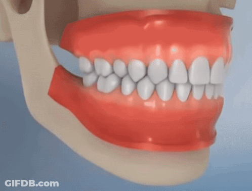 A Close Up Of A Tooth With A Hole In It Being Pulled Out GIF