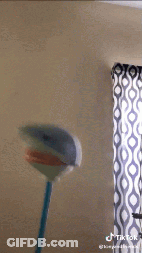 A Close Up Of A Toy Shark With A Tiktok Watermark On The Bottom Right GIF