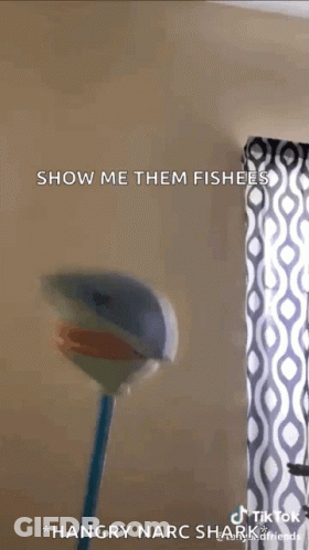 A Close Up Of A Toy Shark With The Words Show Me Them Fishees GIF