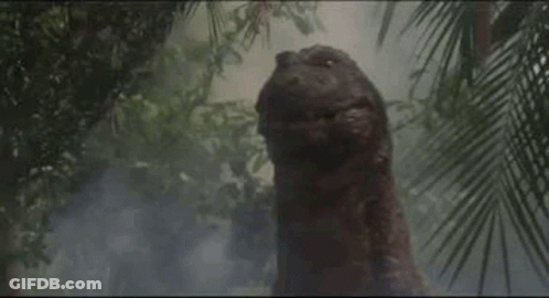 A Close Up Of A Tree In The Middle Of A Forest With Trees In The Background . GIF