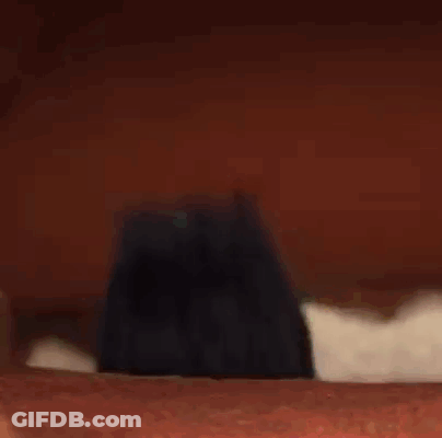 A Close Up Of A Troll Doll With A Black Hair And A Blue Nose . GIF