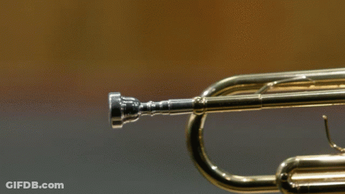 A Close Up Of A Trumpet With A Ring On The Valve GIF