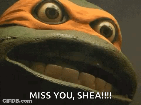 A Close Up Of A Turtle 'S Face With The Words `` Miss You , Shea !!! '' GIF