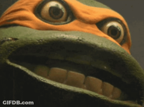 A Close Up Of A Turtle With Big Eyes GIF