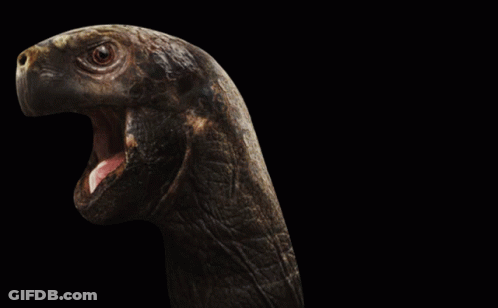 A Close Up Of A Turtle With Its Mouth Wide Open GIF