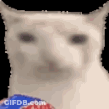 A Close Up Of A White Cat Holding A Bag Of Chips . GIF