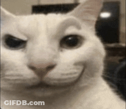 A Close Up Of A White Cat Making A Funny Face While Looking At The Camera . GIF