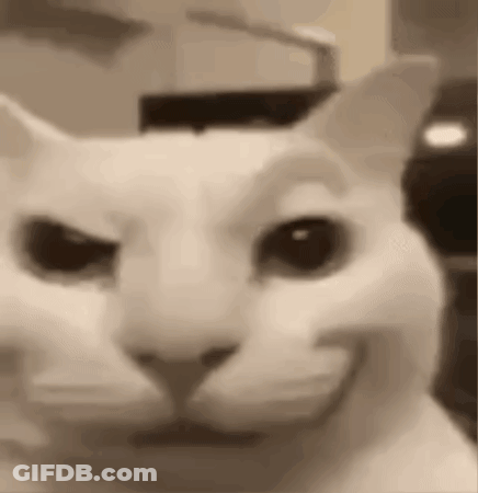 A Close Up Of A White Cat 'S Face With A Smile On Its Face . GIF