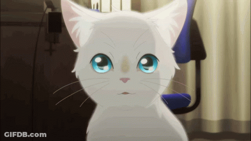 A Close Up Of A White Cat With Blue Eyes Looking At The Camera GIF