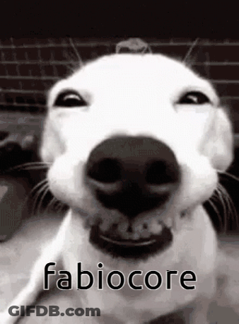 A Close Up Of A White Dog 'S Face With The Words Fabiocore Written On It . GIF