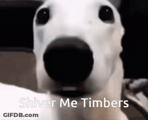 A Close Up Of A White Dog With The Words Shiver Me Timbers Written Below It GIF