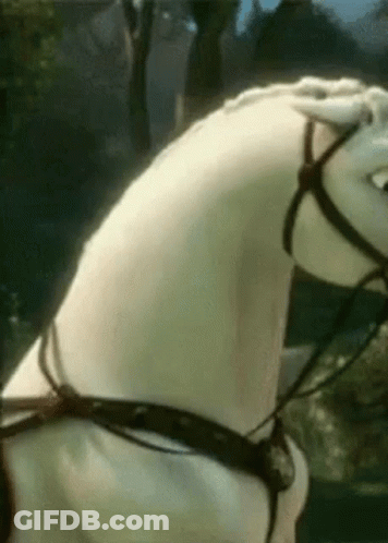 A Close Up Of A White Horse Wearing A Bridle And Saddle . GIF