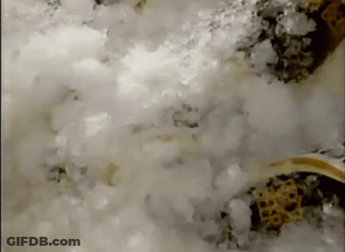 A Close Up Of A White Substance With A Yellow Object In The Background GIF
