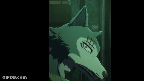 A Close Up Of A Wolf 'S Face With Teeth GIF