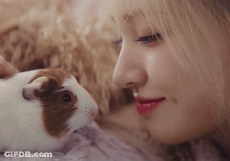A Close Up Of A Woman And A Guinea Pig GIF