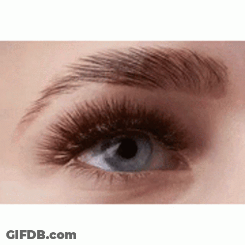 A Close Up Of A Woman 'S Blue Eye With Long Eyelashes And Eyebrows . GIF