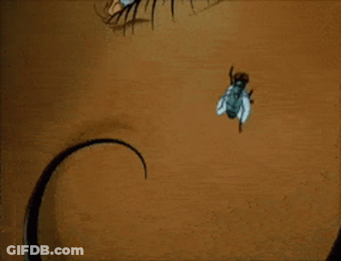 A Close Up Of A Woman 'S Eye With A Spider Web Around It GIF