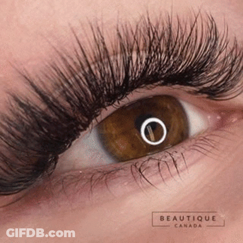 A Close Up Of A Woman 'S Eye With Very Long Eyelashes . GIF