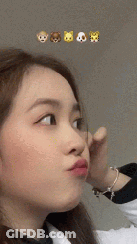 A Close Up Of A Woman 'S Face With Emojis Of Bears And Tigers Behind Her GIF