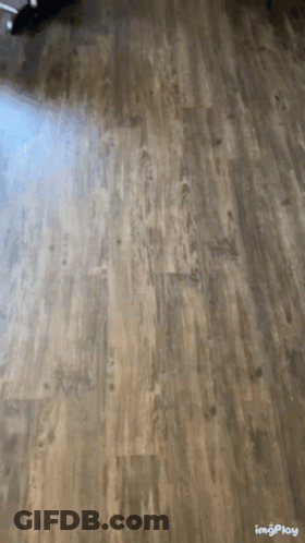 A Close Up Of A Wooden Floor With The Words Imgplay Below GIF