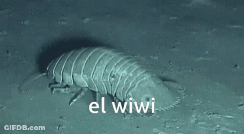 A Close Up Of A Worm With The Words El Wiwi Written On The Bottom GIF