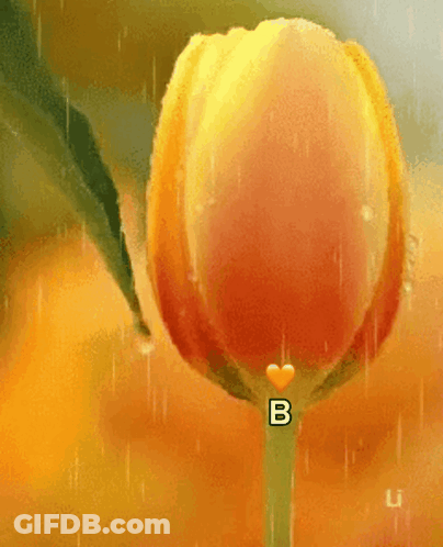 A Close Up Of A Yellow Flower With The Letter B On It GIF