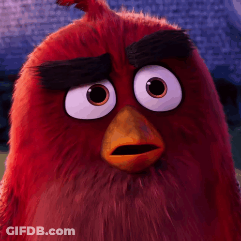 Close Up Of Funny Angry Bird Face GIF