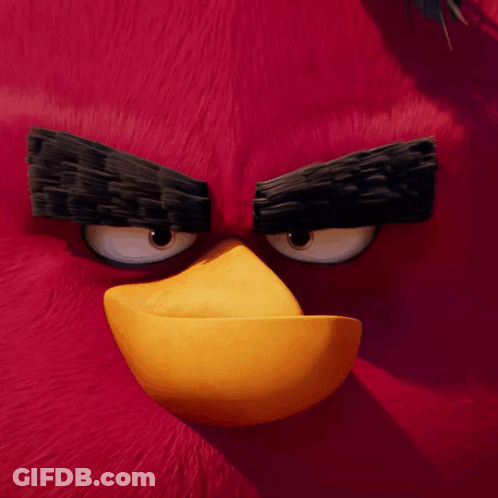 Angry Bird Face With Yellow Beak And Black Eyebrows GIF