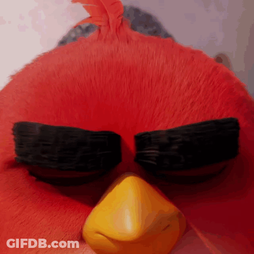 Angry Bird Close Up With Black Eyebrows And Yellow Beak GIF