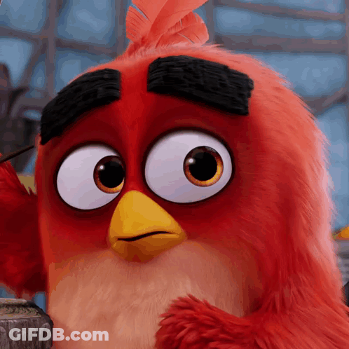 A Close Up Of An Angry Bird With A Yellow Beak GIF