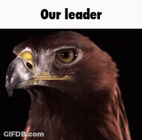 A Close Up Of An Eagle 'S Face With The Words Our Leader Above It GIF