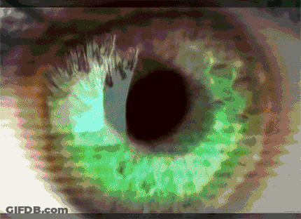 A Close Up Of An Eye With A Green Iris GIF