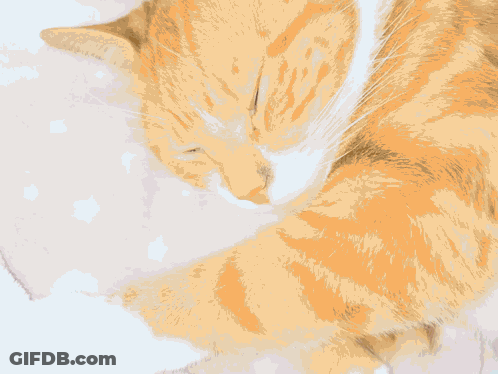 A Close Up Of An Orange And White Cat Sleeping On A Blanket GIF