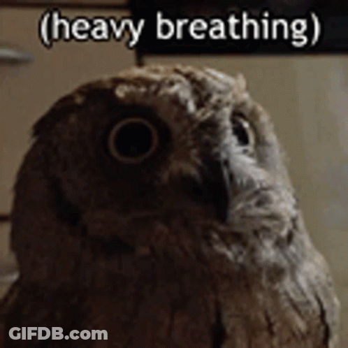 A Close Up Of An Owl With A Caption That Says Heavy Breathing GIF