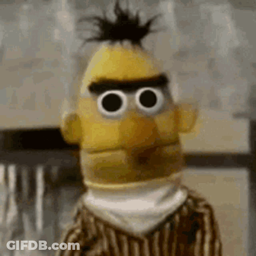 A Close Up Of Bert From Sesame Street With Big Eyes And A Ponytail . GIF