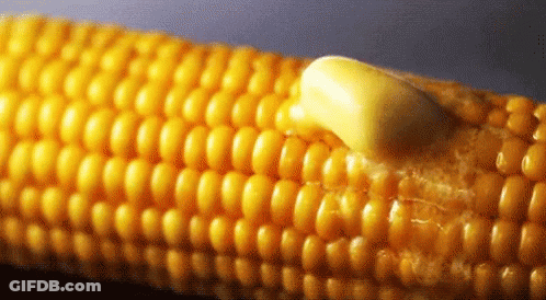 A Close Up Of Corn On The Cob With A Piece Of Butter On It GIF