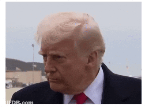 A Close Up Of Donald Trump 'S Face And Hair GIF