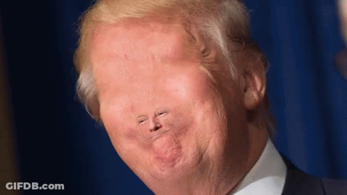 A Close Up Of Donald Trump 'S Face With A Very Small Nose GIF