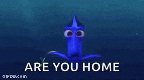 A Close Up Of Dory 'S Eyes With The Words `` Are You Home '' Behind Them . GIF