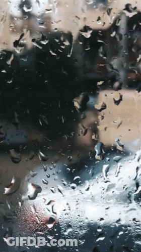 A Close Up Of Rain Drops On A Glass Window GIF