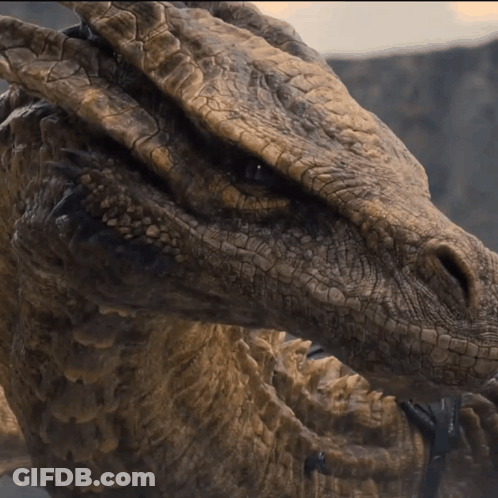 A Close Up Of The Face Of A Dragon GIF