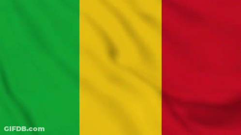 A Close Up Of The Flag Of Mali Waving In The Wind . GIF