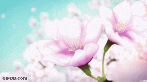 A Close Up Of Two Pink Flowers With A Blue Sky In The Background .. GIF