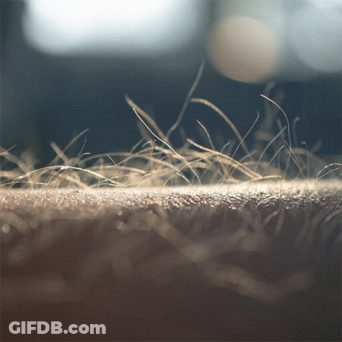 A Closeup Of A Person 'S Hair On Their Skin GIF