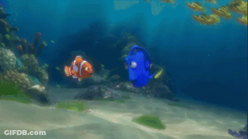 A Clown Fish And A Blue Fish Are Swimming Together In The Ocean GIF