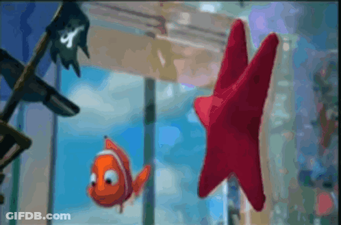 A Clown Fish And A Red Star Are Floating In A Tank GIF
