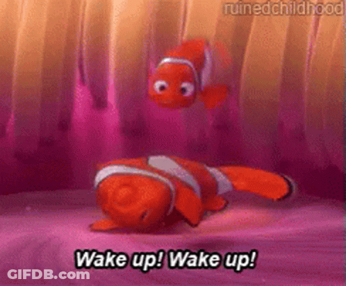 A Clown Fish Says Wake Up In A Cartoon GIF