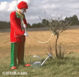A Clown Is Watering A Tree With A Can GIF